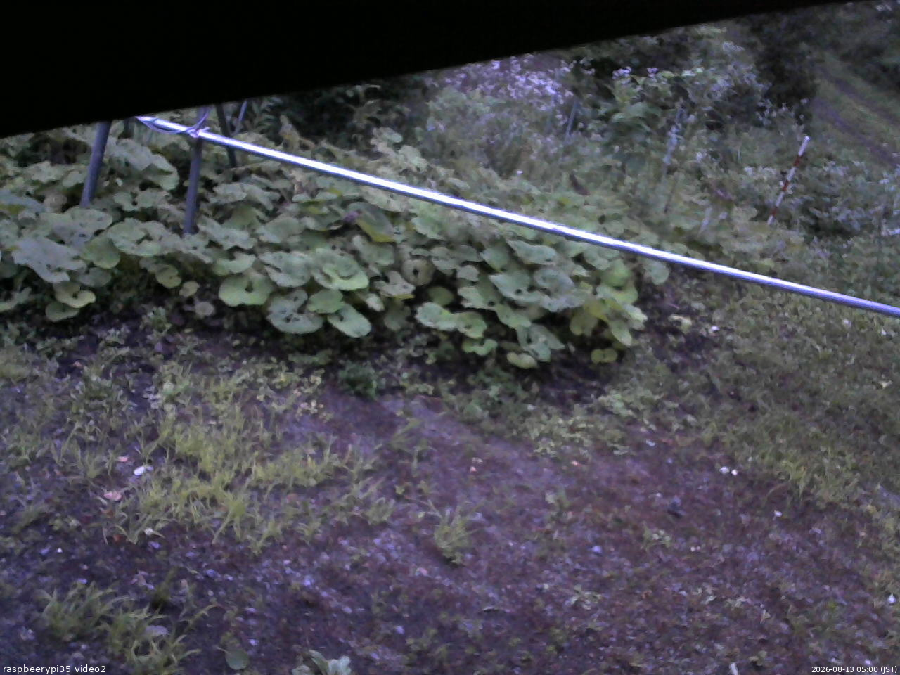 長野県菅平高原 ゆたか山荘 駐車場 2026/08/13 05:00