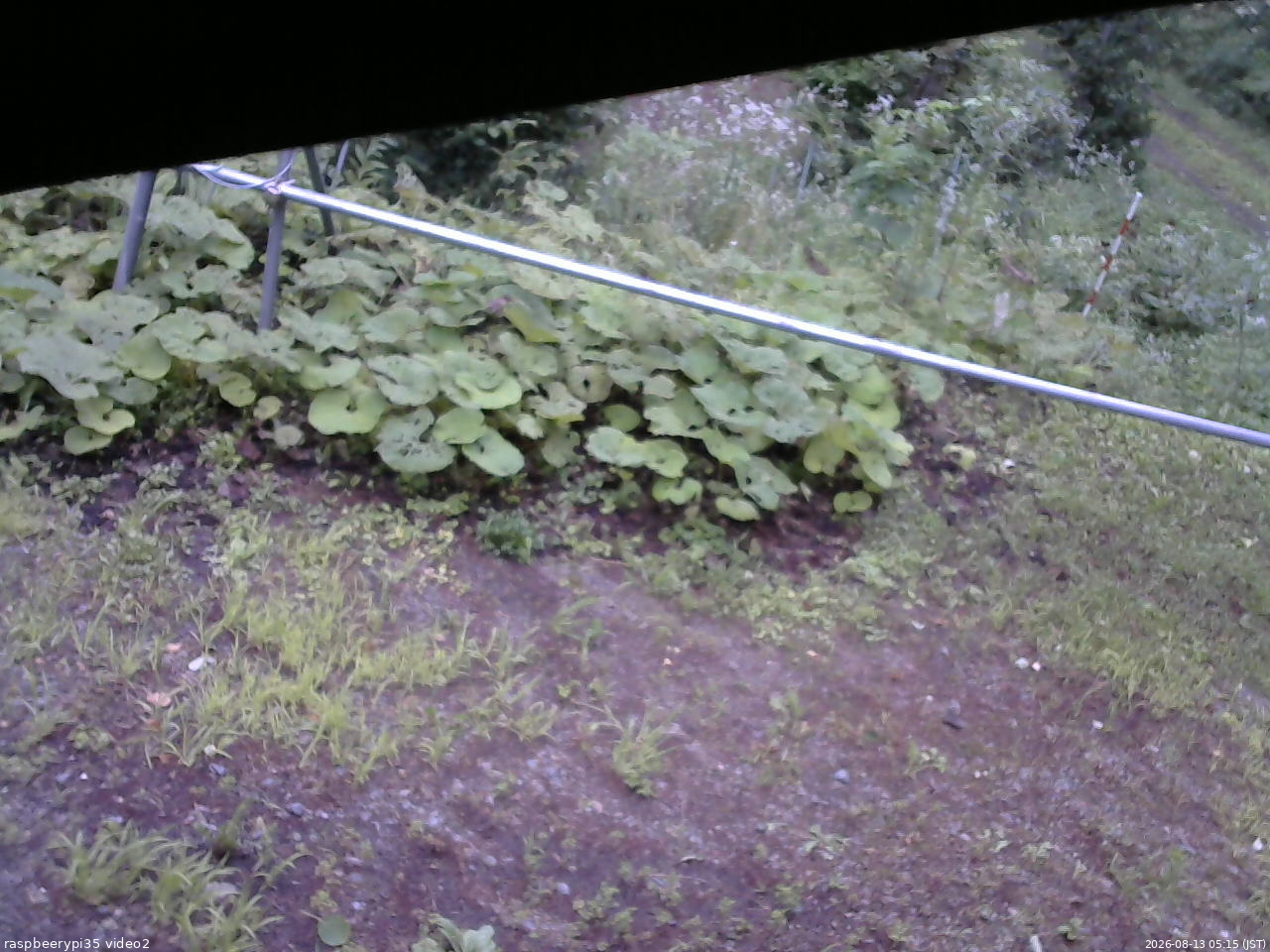 長野県菅平高原 ゆたか山荘 駐車場 2026/08/13 05:15