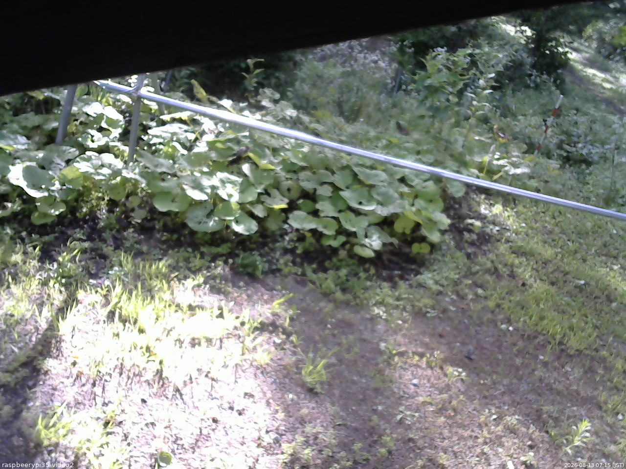 長野県菅平高原 ゆたか山荘 駐車場 2026/08/13 07:15