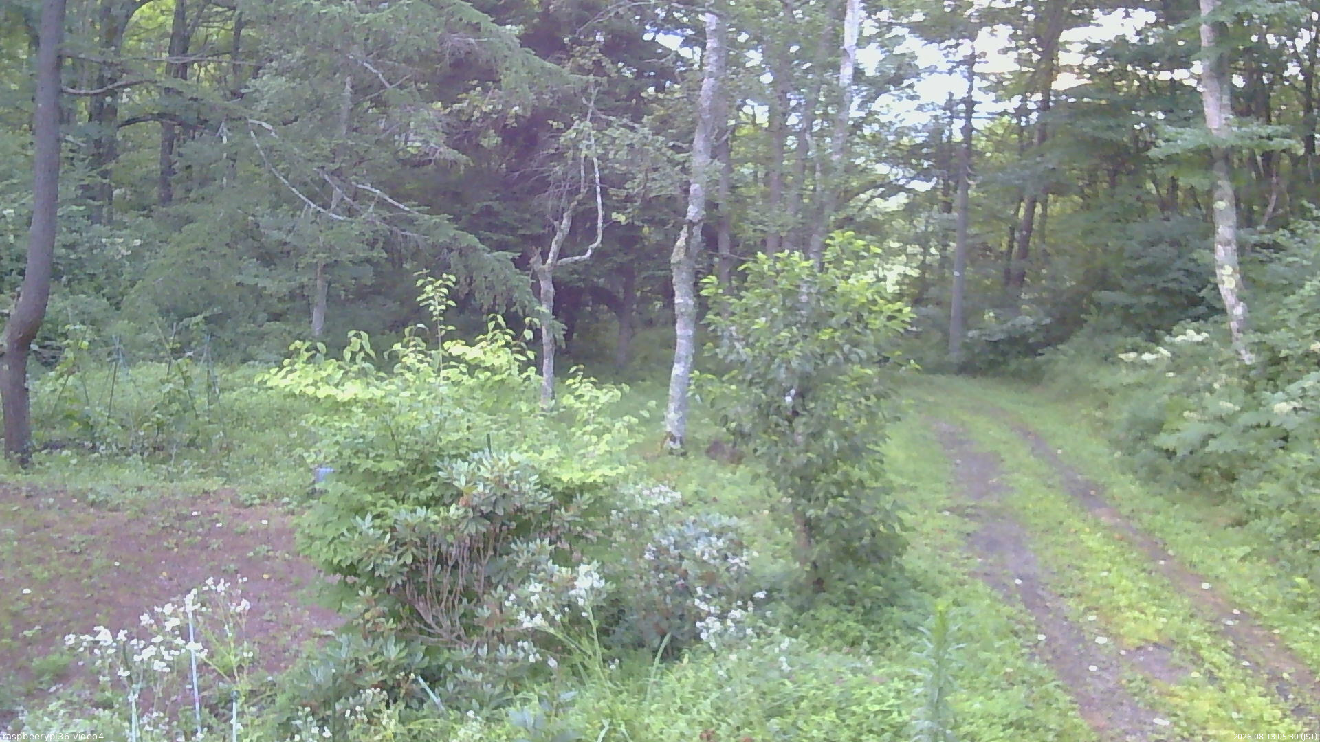 長野県菅平高原 ゆたか山荘 坂上 2026/08/13 05:30
