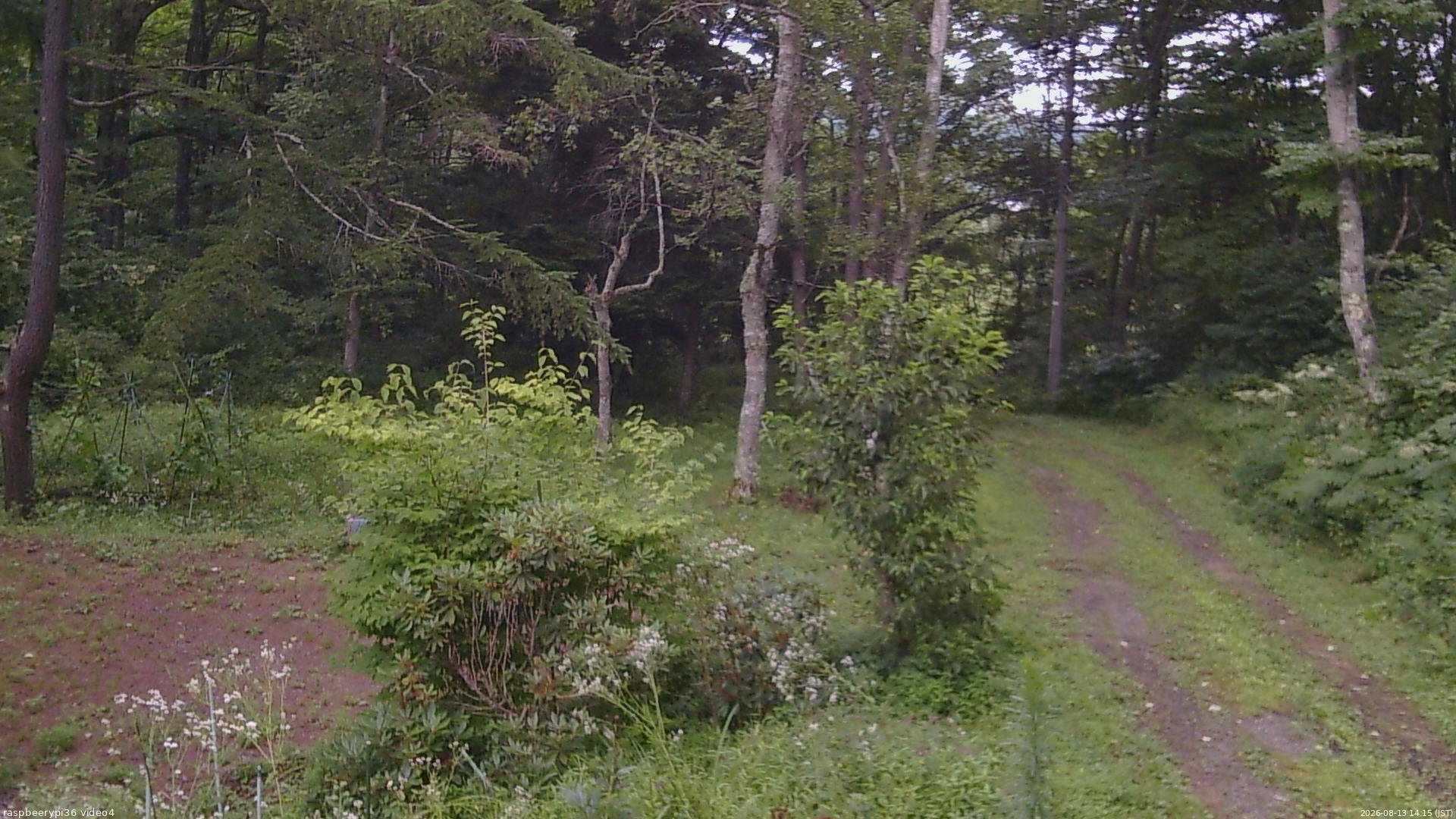 長野県菅平高原 ゆたか山荘 坂上 2026/08/13 14:15