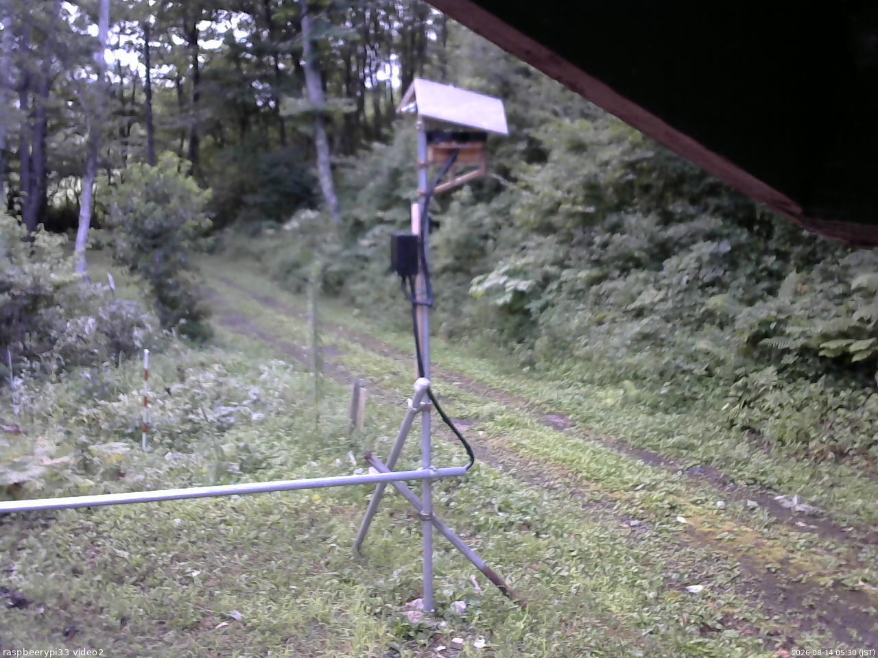 長野県菅平高原 ゆたか山荘 南側 2026/08/14 05:30