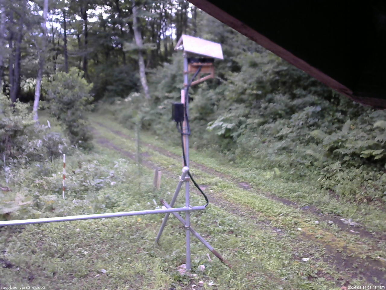 長野県菅平高原 ゆたか山荘 南側 2026/08/14 05:45