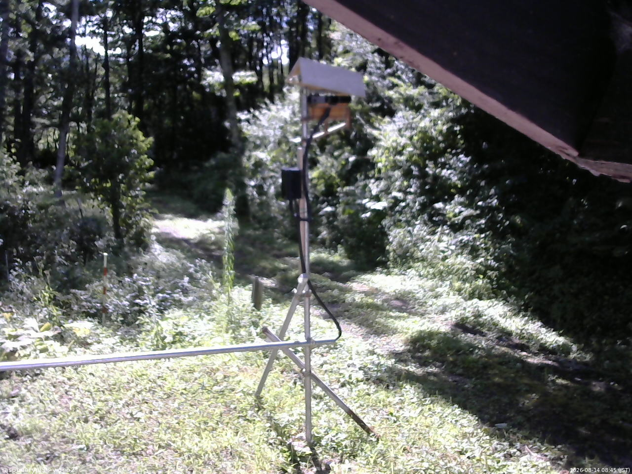 長野県菅平高原 ゆたか山荘 南側 2026/08/14 08:45