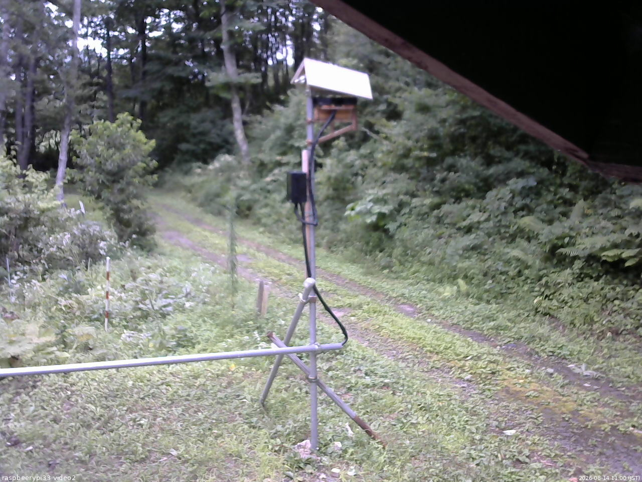 長野県菅平高原 ゆたか山荘 南側 2026/08/14 11:00