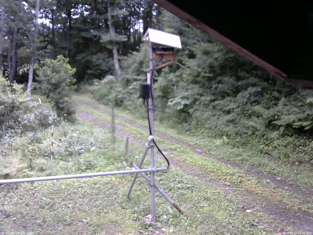 長野県菅平高原 ゆたか山荘 南側 2026/08/14 11:45