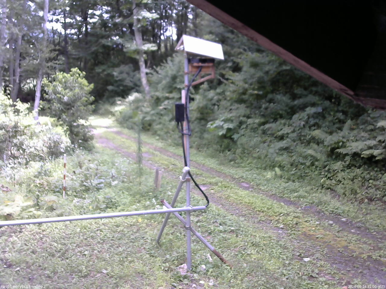 長野県菅平高原 ゆたか山荘 南側 2026/08/14 12:00