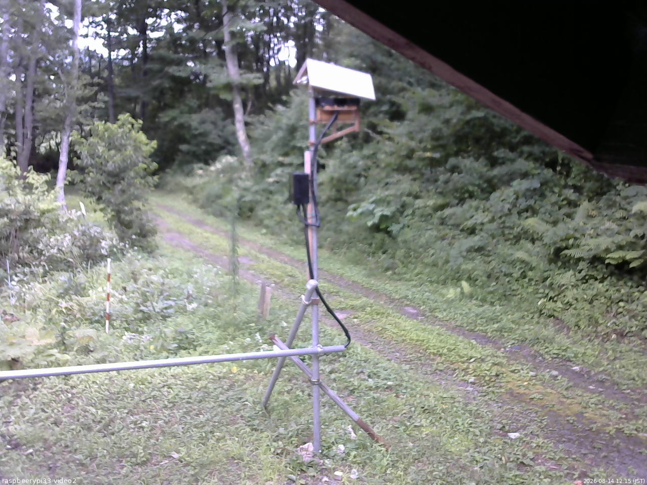長野県菅平高原 ゆたか山荘 南側 2026/08/14 12:15