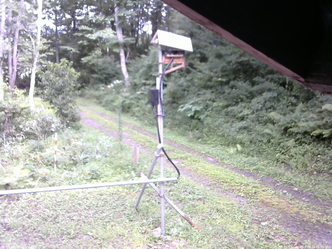 長野県菅平高原 ゆたか山荘 南側 2026/08/14 14:30