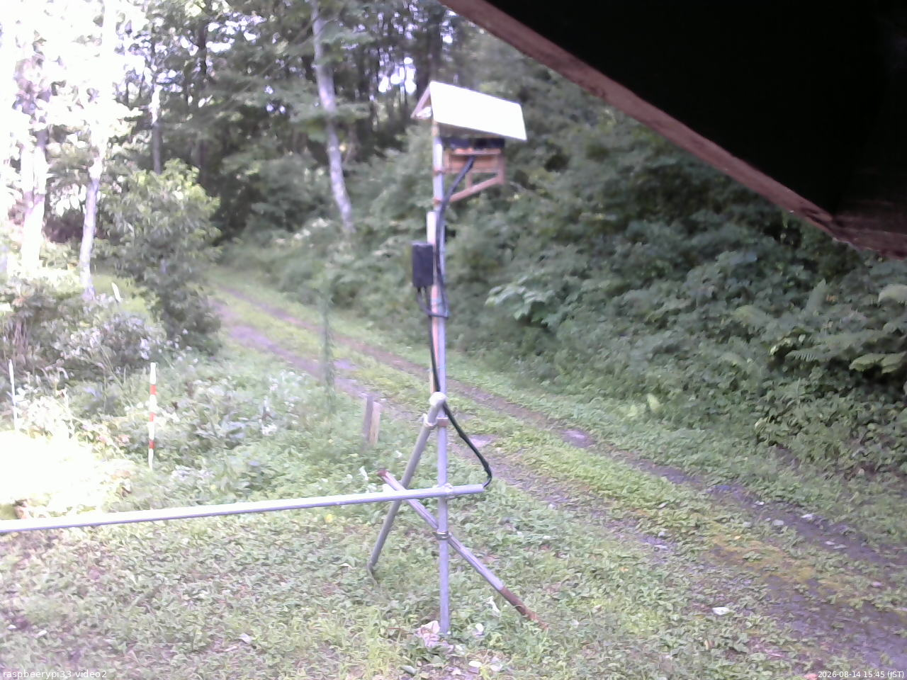 長野県菅平高原 ゆたか山荘 南側 2026/08/14 15:45