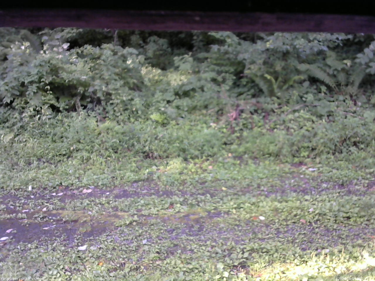 長野県菅平高原 ゆたか山荘 東側(坂下) 2026/08/14 06:15