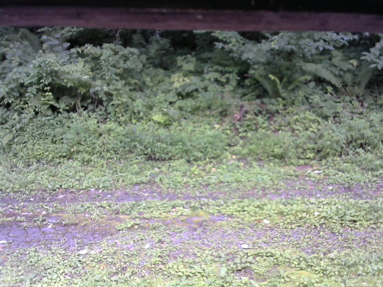 長野県菅平高原 ゆたか山荘 東側(坂下) 2026/08/14 12:45