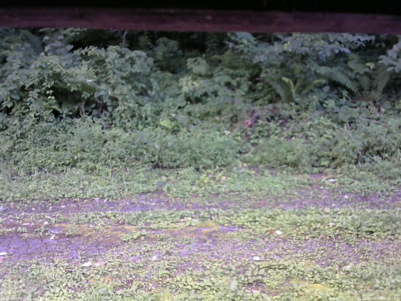 長野県菅平高原 ゆたか山荘 東側(坂下) 2026/08/14 15:30