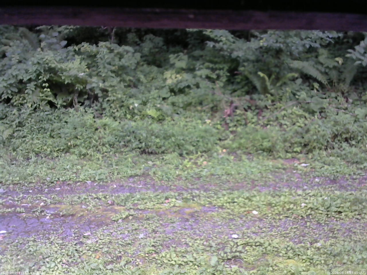 長野県菅平高原 ゆたか山荘 東側(坂下) 2026/08/14 17:45