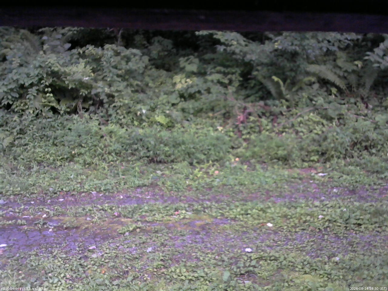 長野県菅平高原 ゆたか山荘 東側(坂下) 2026/08/14 18:30