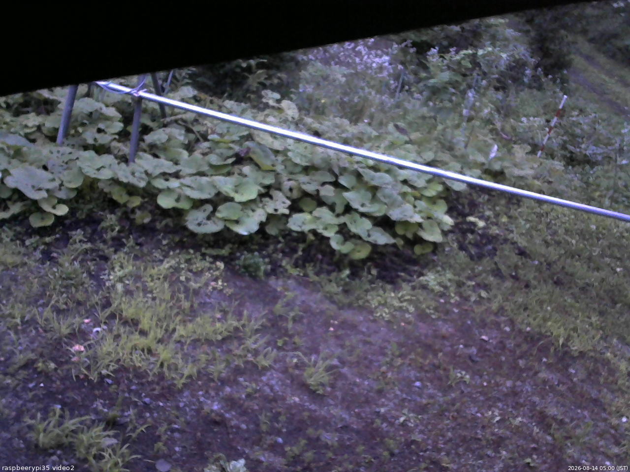 長野県菅平高原 ゆたか山荘 駐車場 2026/08/14 05:00