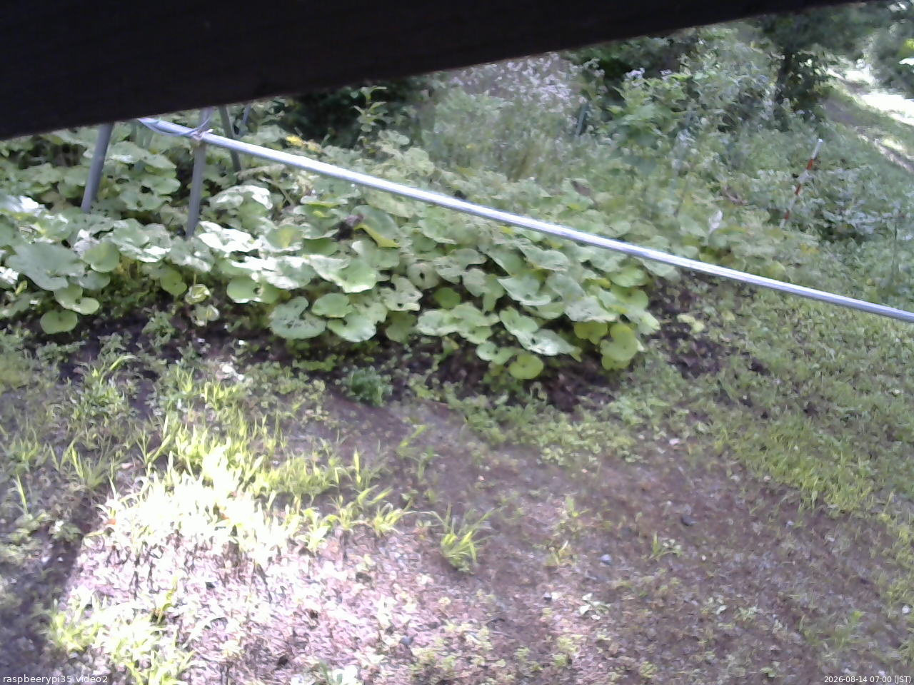 長野県菅平高原 ゆたか山荘 駐車場 2026/08/14 07:00