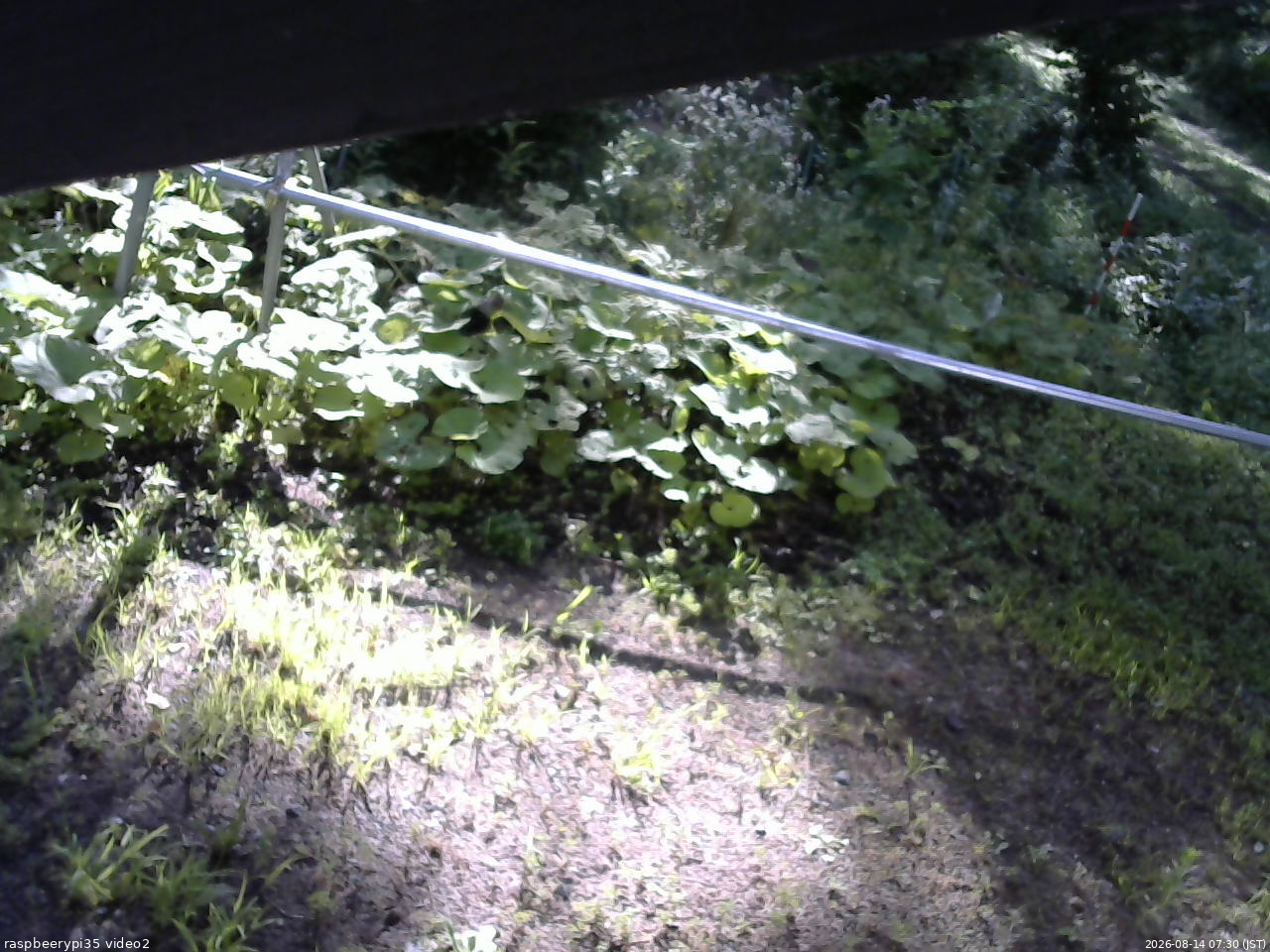 長野県菅平高原 ゆたか山荘 駐車場 2026/08/14 07:30