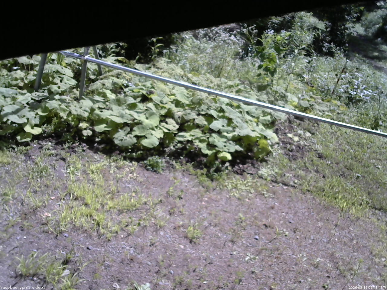 長野県菅平高原 ゆたか山荘 駐車場 2026/08/14 09:45
