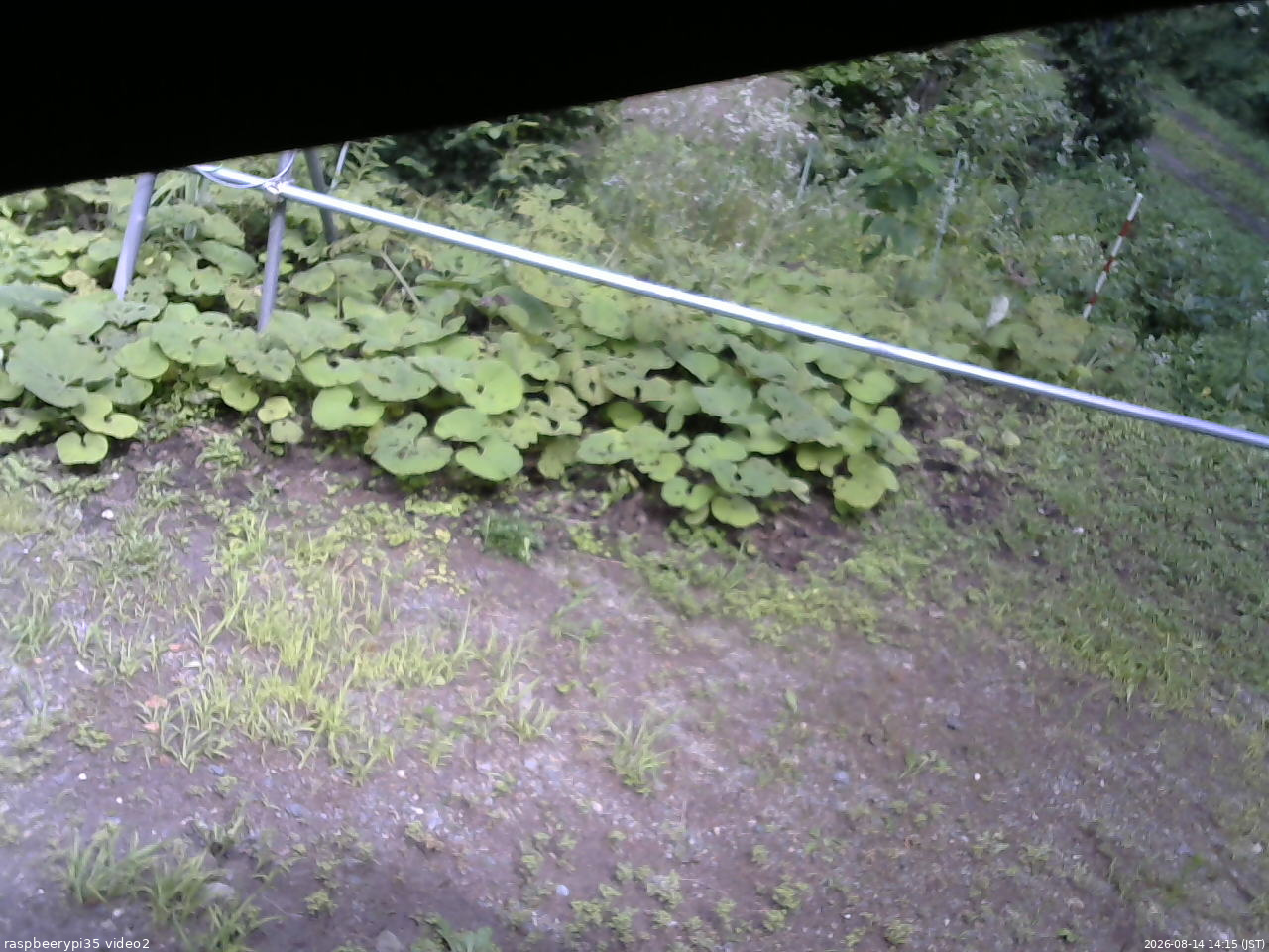 長野県菅平高原 ゆたか山荘 駐車場 2026/08/14 14:15