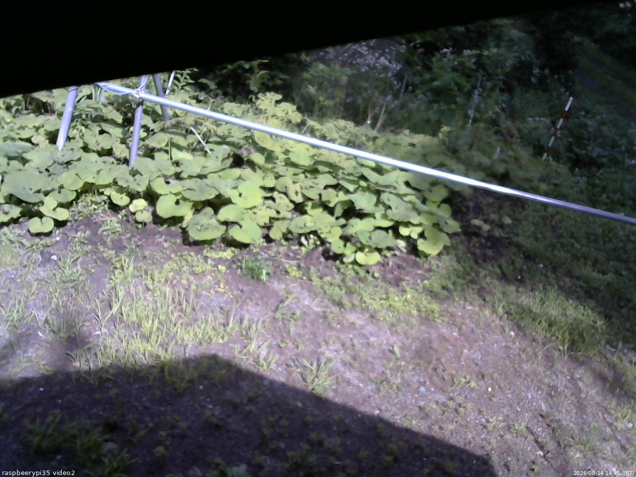 長野県菅平高原 ゆたか山荘 駐車場 2026/08/14 14:45