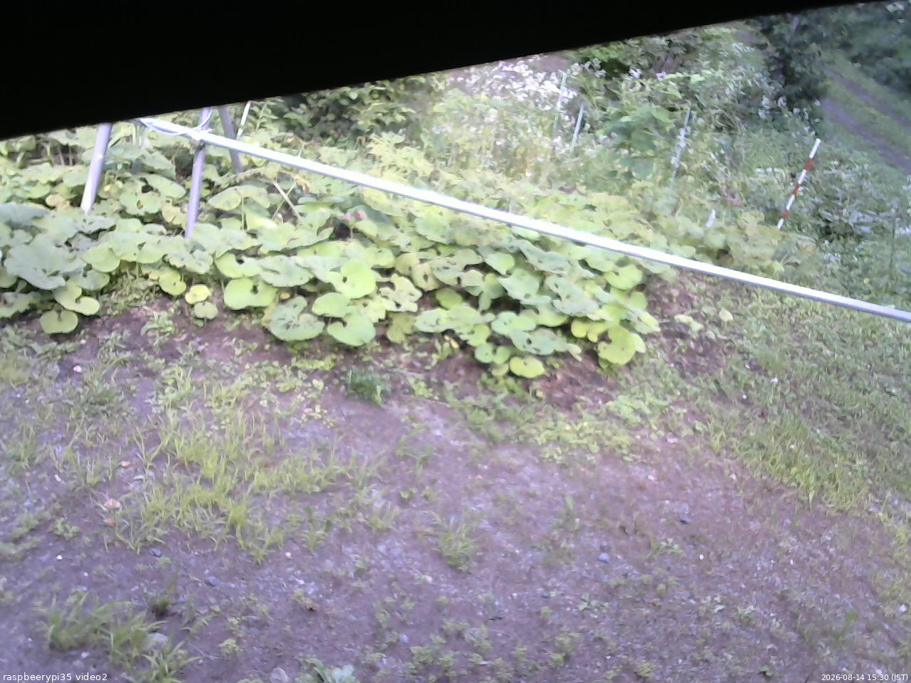 長野県菅平高原 ゆたか山荘 駐車場 2026/08/14 15:30