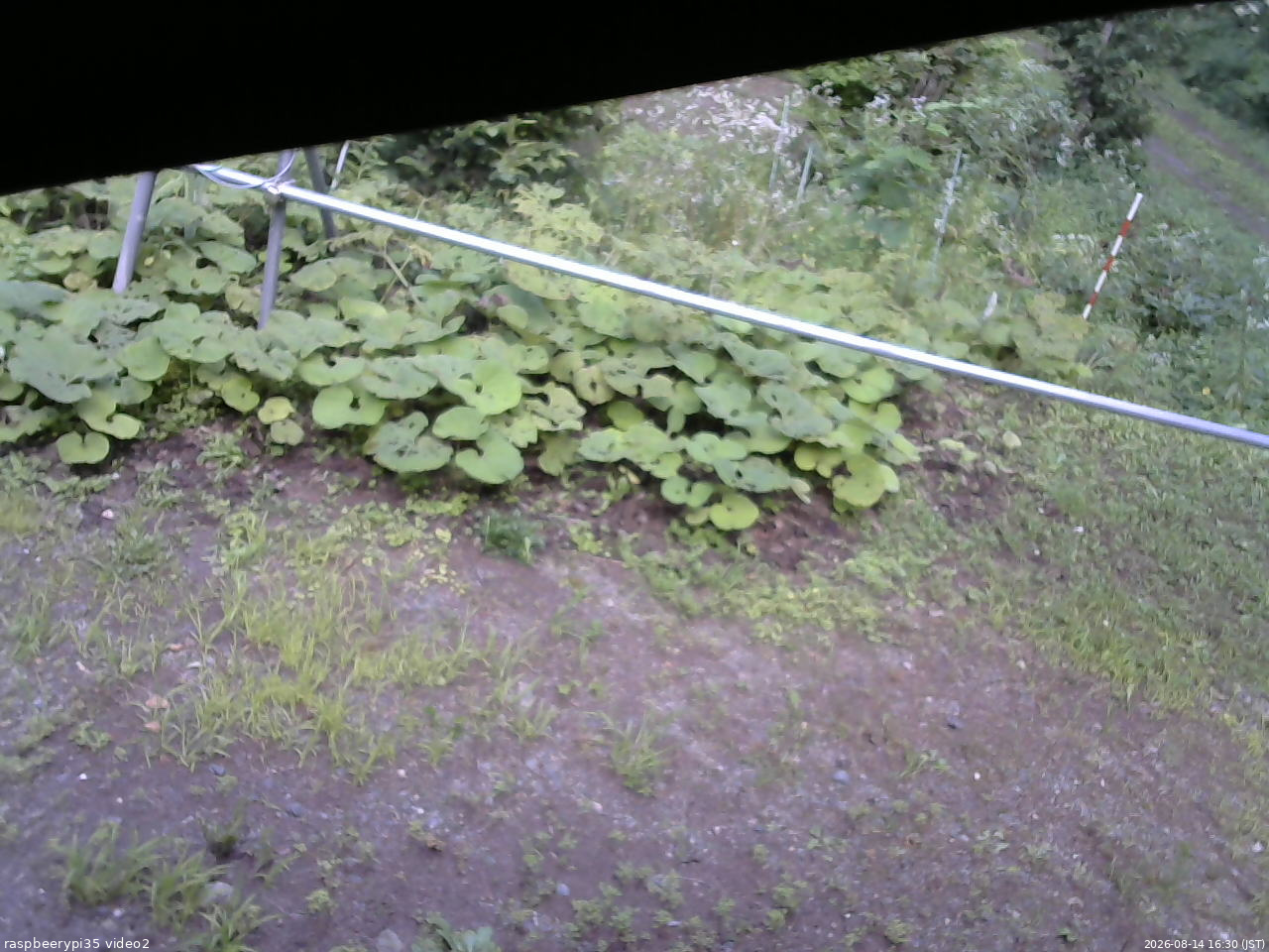 長野県菅平高原 ゆたか山荘 駐車場 2026/08/14 16:30