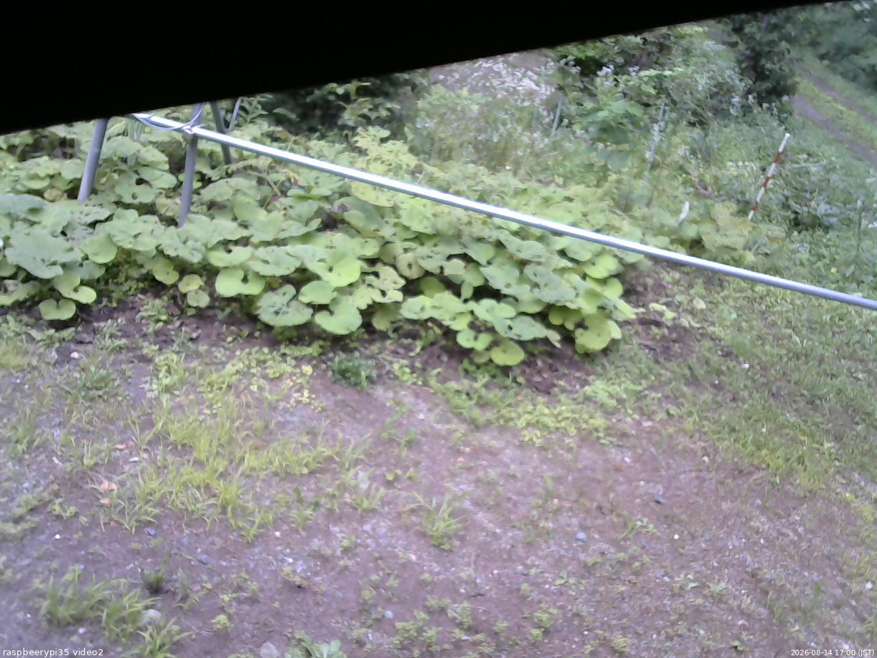 長野県菅平高原 ゆたか山荘 駐車場 2026/08/14 17:00
