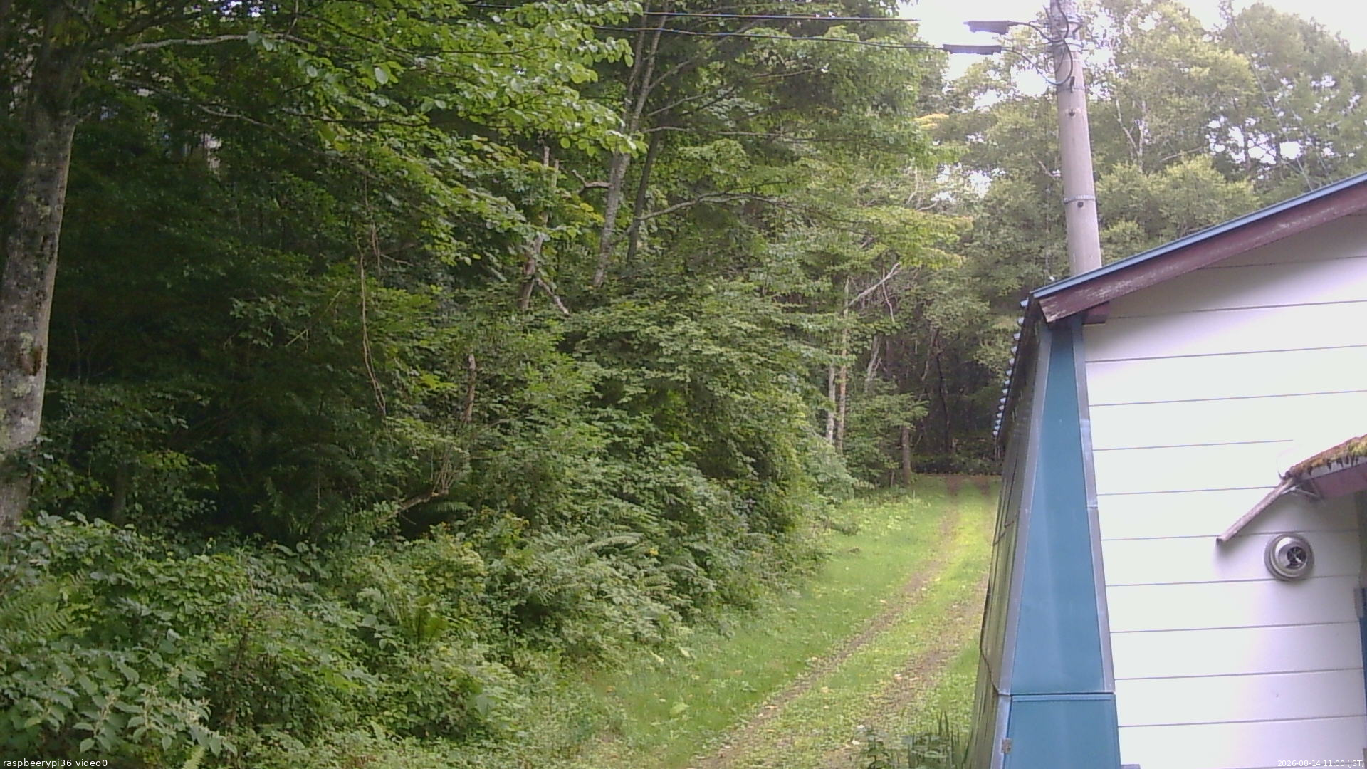 長野県菅平高原 ゆたか山荘 ゆたか山荘 2026/08/14 11:00