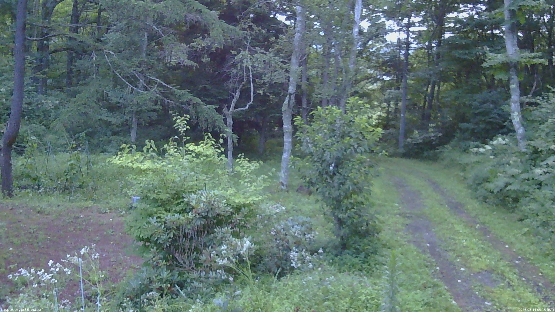 長野県菅平高原 ゆたか山荘 坂上 2026/08/14 05:15