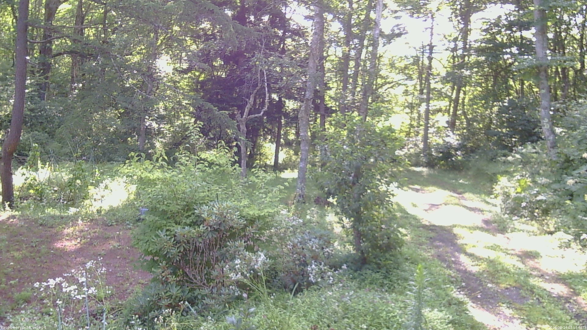 長野県菅平高原 ゆたか山荘 坂上 2026/08/14 07:15