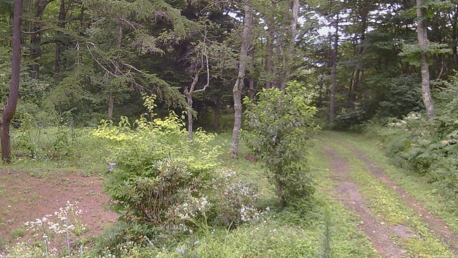 長野県菅平高原 ゆたか山荘 坂上 2026/08/14 11:00