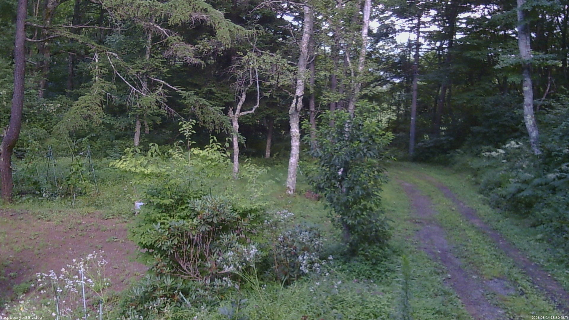 長野県菅平高原 ゆたか山荘 坂上 2026/08/14 15:30