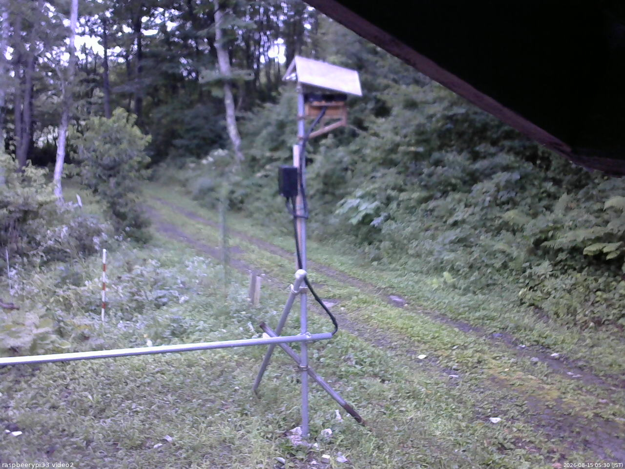 長野県菅平高原 ゆたか山荘 南側 2026/08/15 05:30