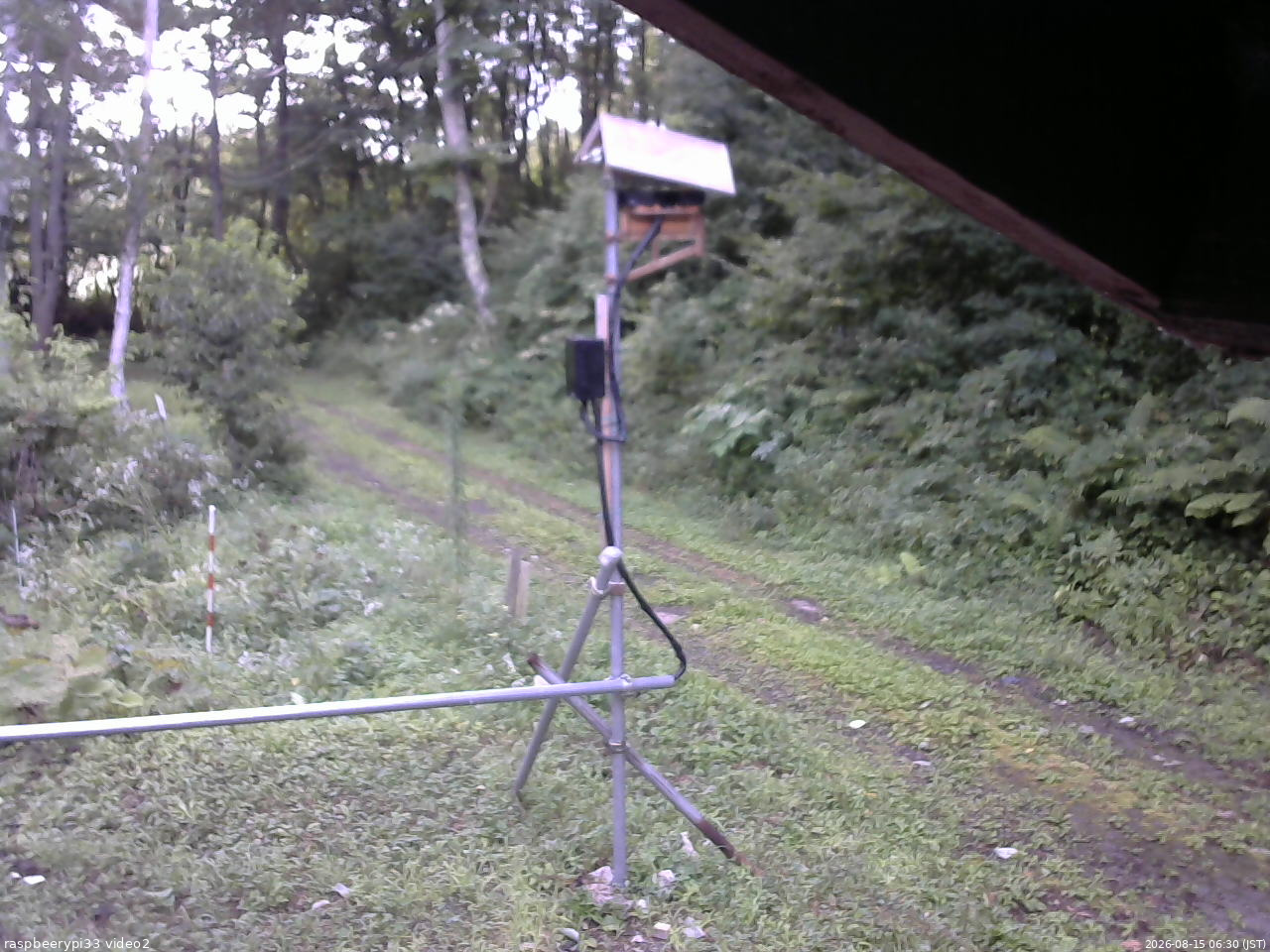 長野県菅平高原 ゆたか山荘 南側 2026/08/15 06:30