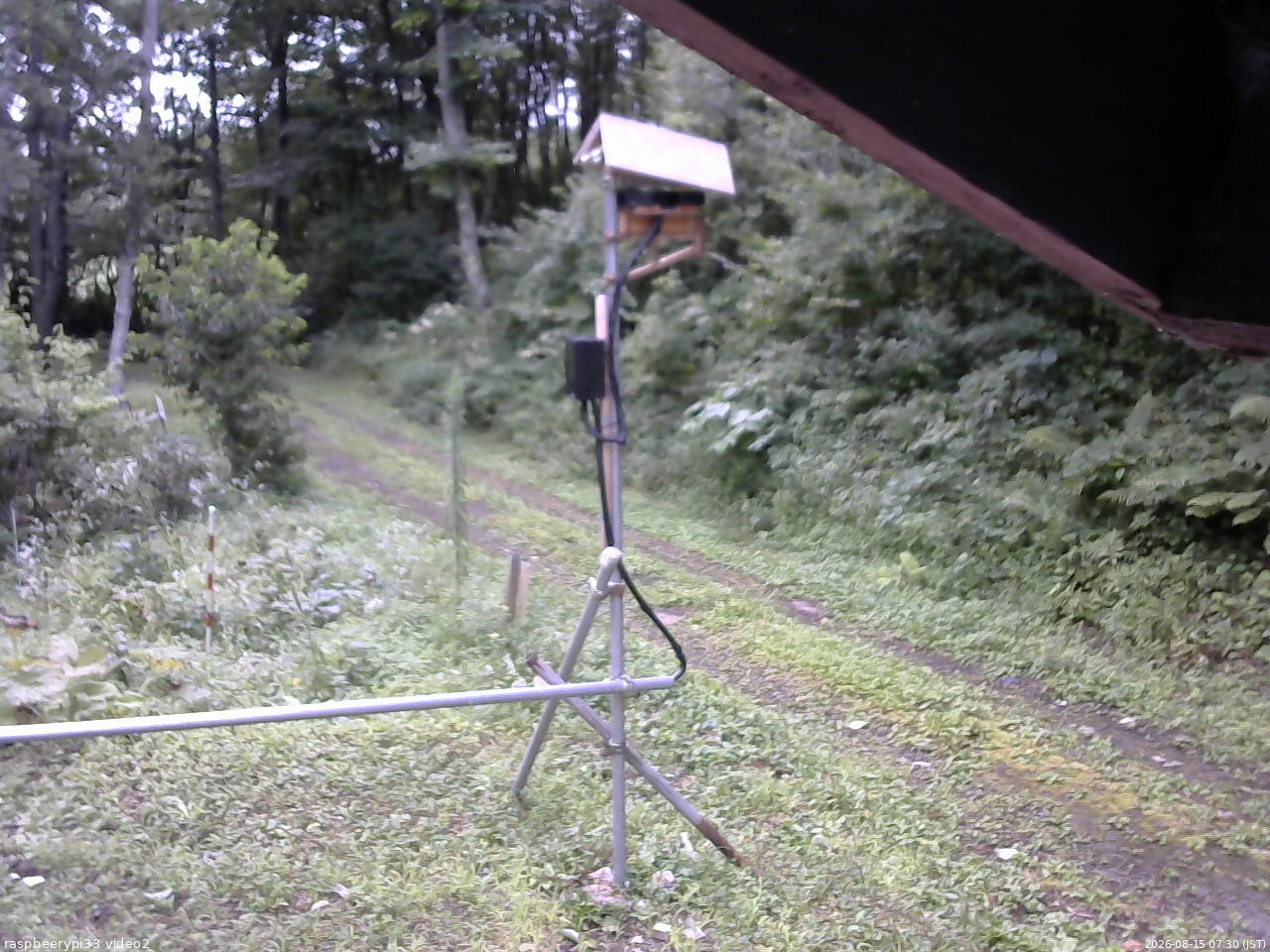 長野県菅平高原 ゆたか山荘 南側 2026/08/15 07:30