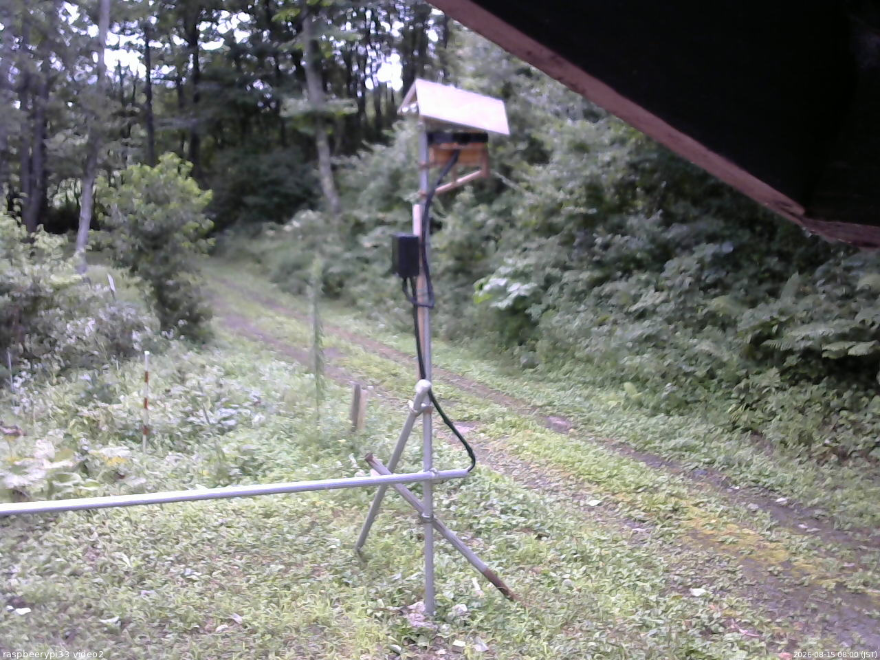 長野県菅平高原 ゆたか山荘 南側 2026/08/15 08:00
