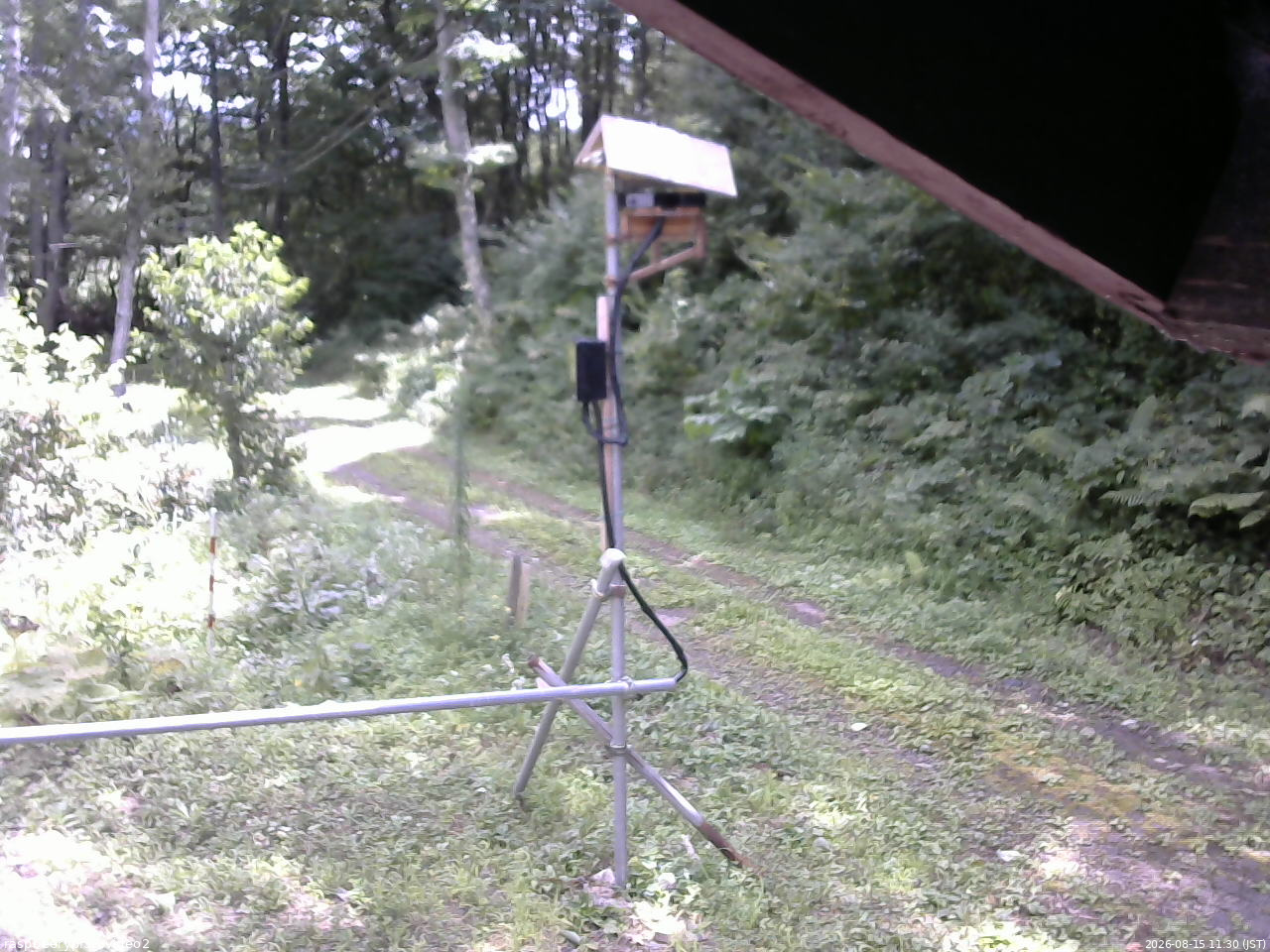 長野県菅平高原 ゆたか山荘 南側 2026/08/15 11:30