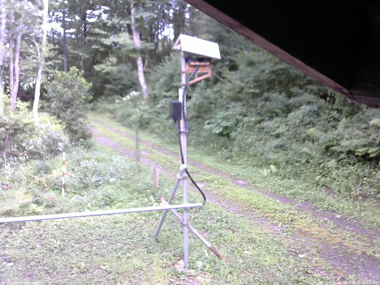 長野県菅平高原 ゆたか山荘 南側 2026/08/15 14:15