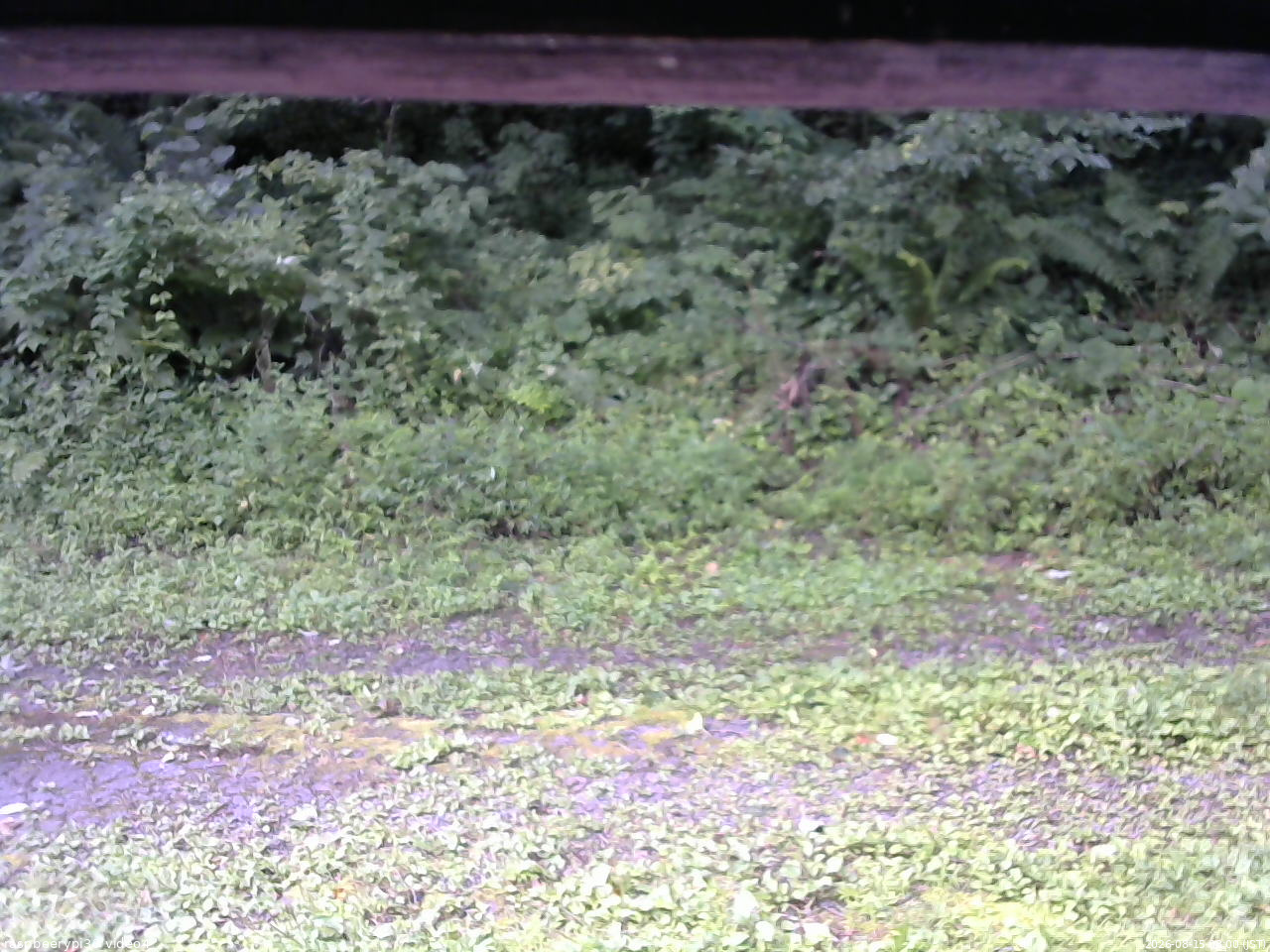 長野県菅平高原 ゆたか山荘 東側(坂下) 2026/08/15 08:00