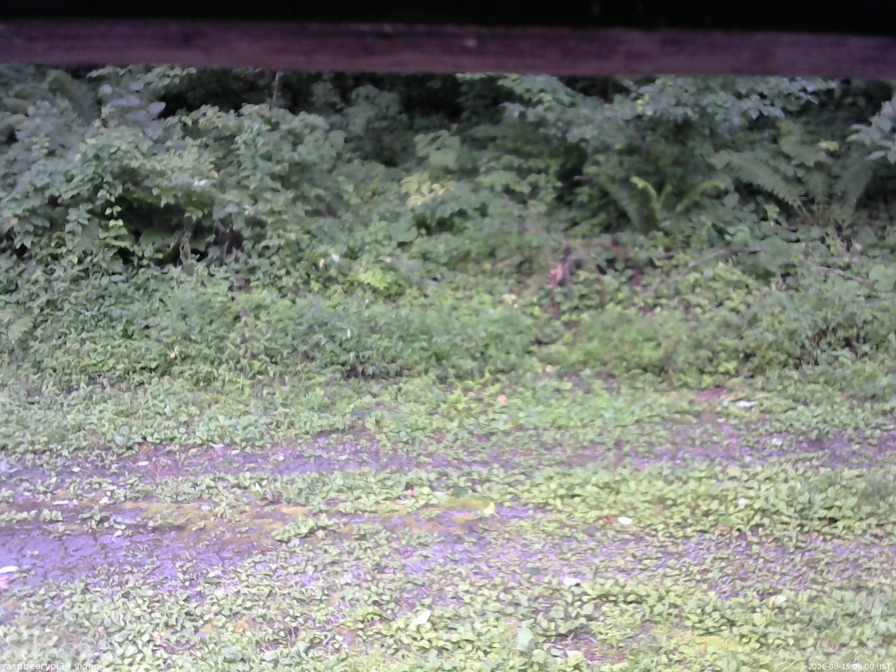 長野県菅平高原 ゆたか山荘 東側(坂下) 2026/08/15 09:00
