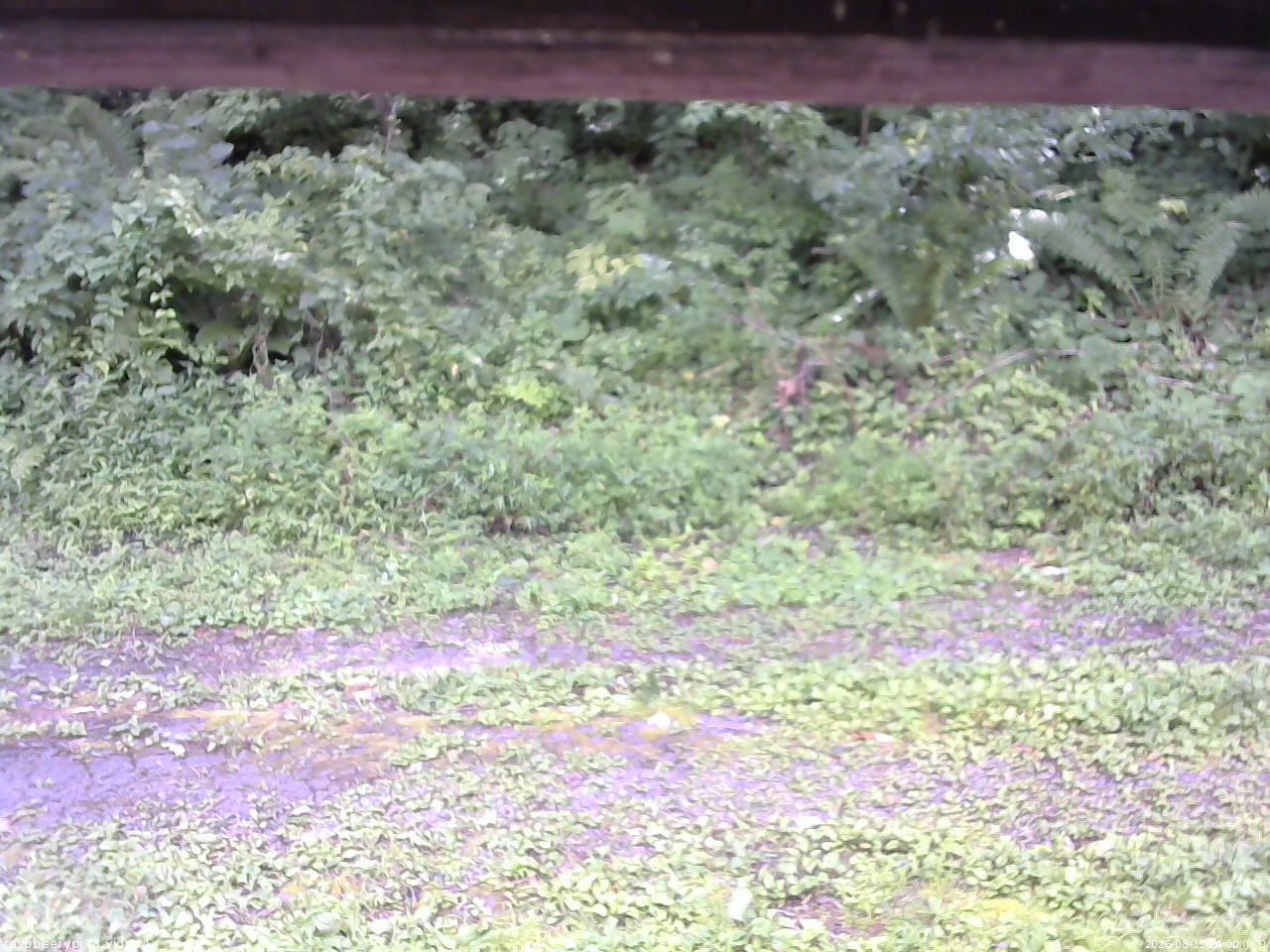 長野県菅平高原 ゆたか山荘 東側(坂下) 2026/08/15 14:00