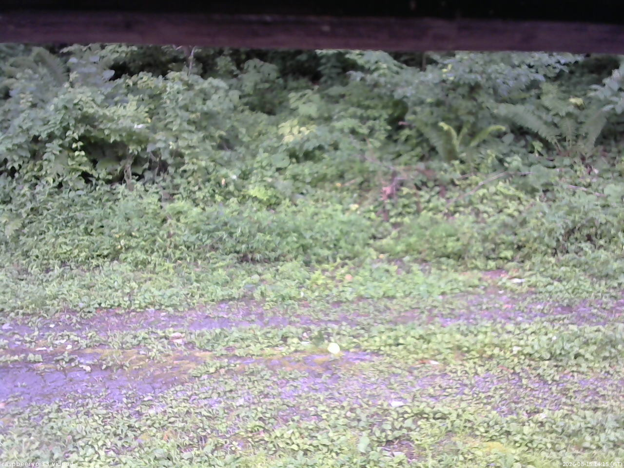長野県菅平高原 ゆたか山荘 東側(坂下) 2026/08/15 14:15