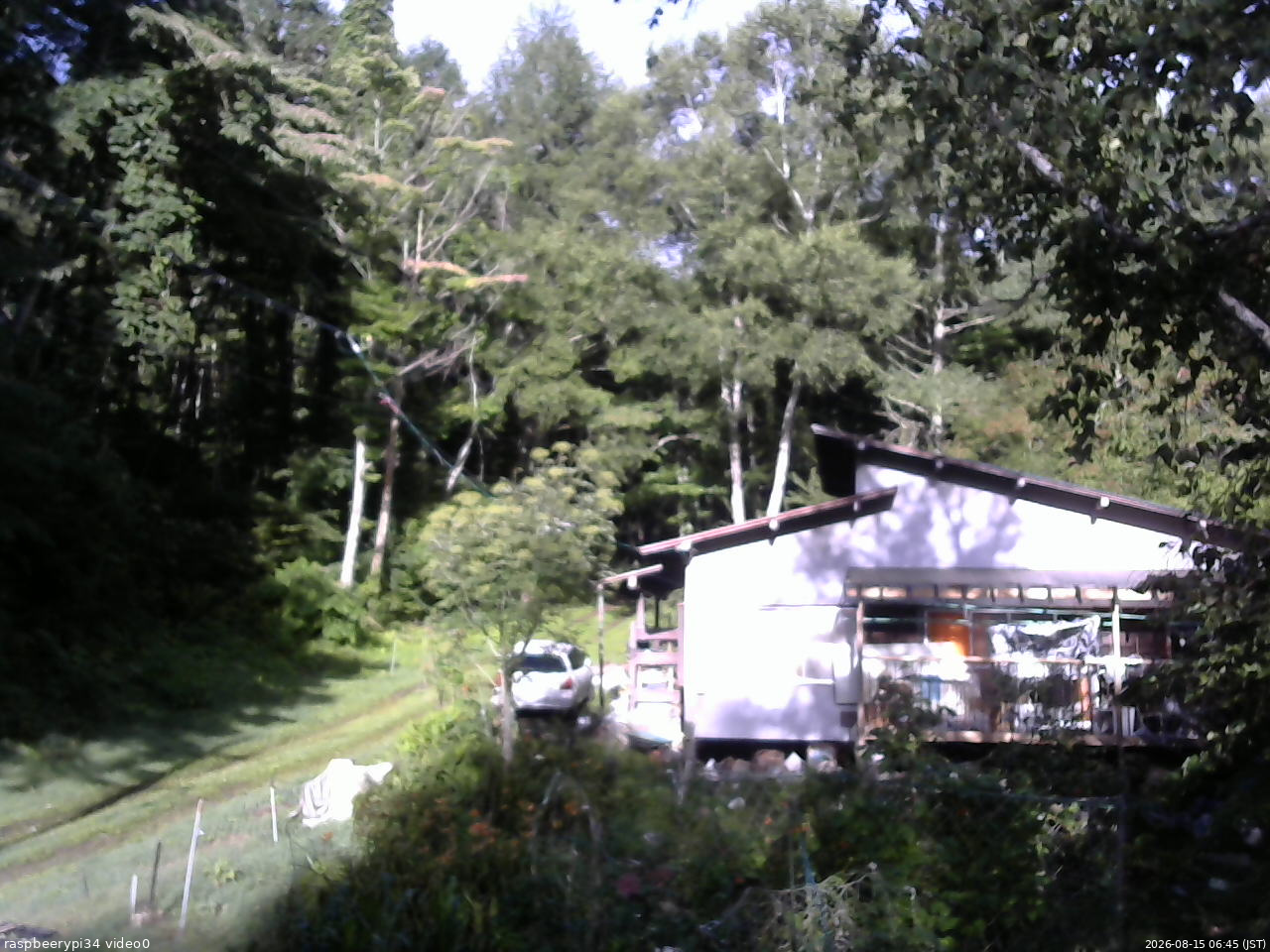 長野県菅平高原 ゆたか山荘 西側(坂上) 2026/08/15 06:45