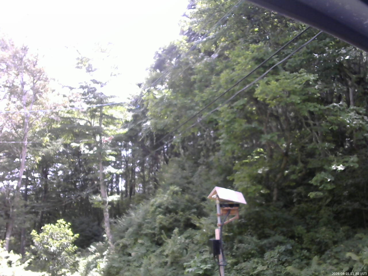 長野県菅平高原 ゆたか山荘 温度計 2026/08/15 11:30