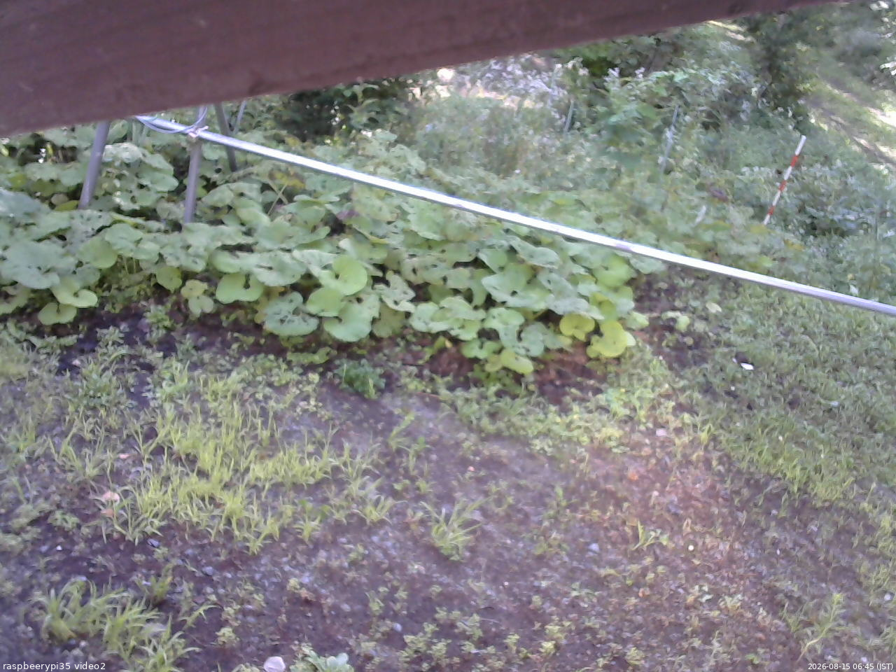 長野県菅平高原 ゆたか山荘 駐車場 2026/08/15 06:45