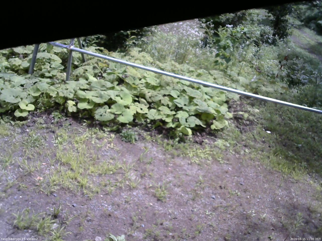 長野県菅平高原 ゆたか山荘 駐車場 2026/08/15 11:00