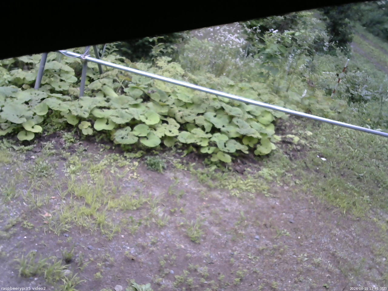 長野県菅平高原 ゆたか山荘 駐車場 2026/08/15 12:45