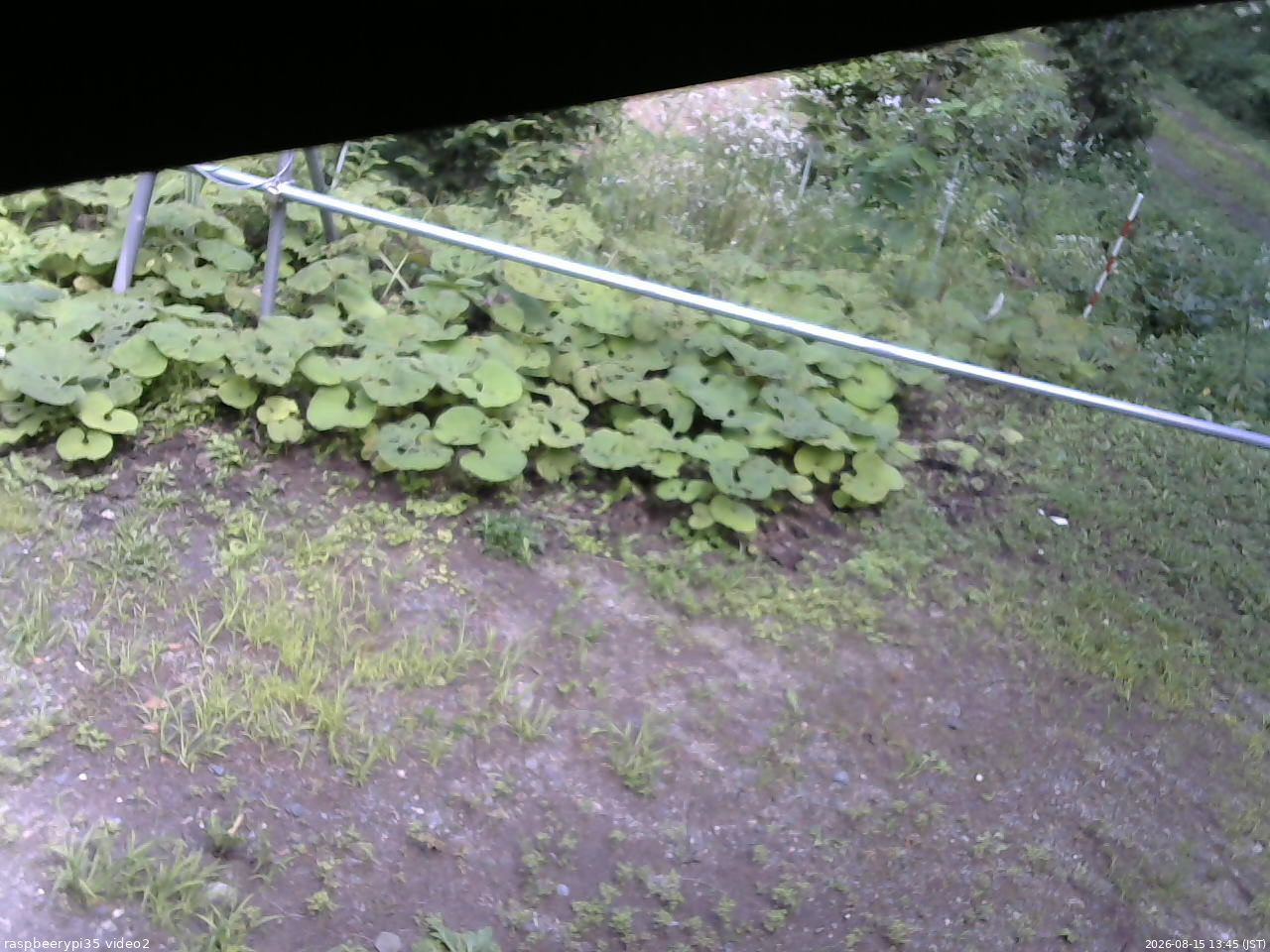 長野県菅平高原 ゆたか山荘 駐車場 2026/08/15 13:45
