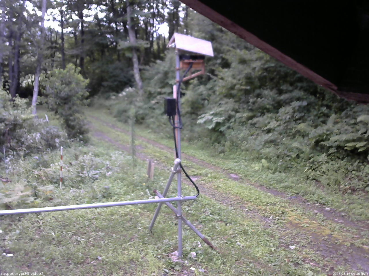 長野県菅平高原 ゆたか山荘 南側 2026/08/16 05:30